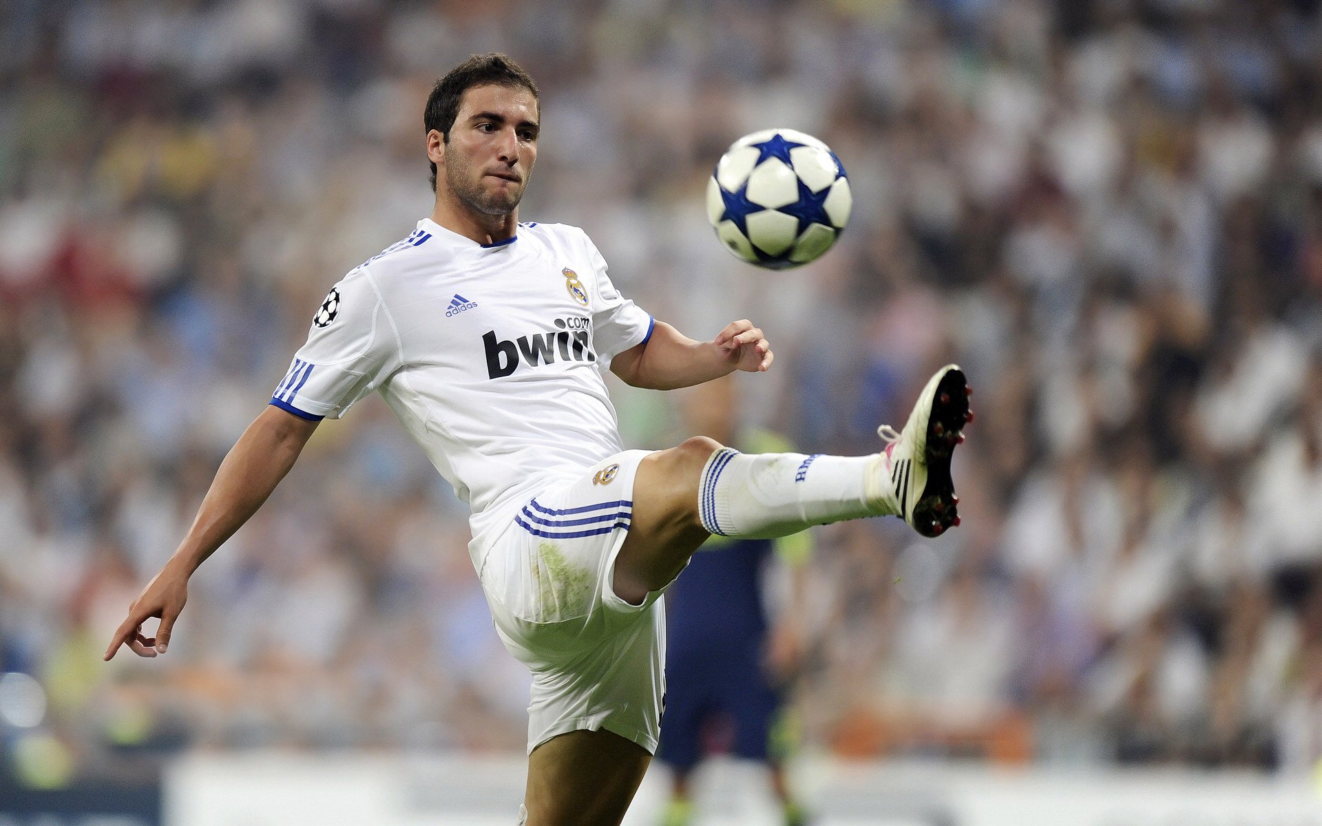 球迷风云:粉丝社群对联盟未来影响巨大,球队粉丝